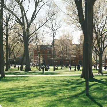 Park in spring